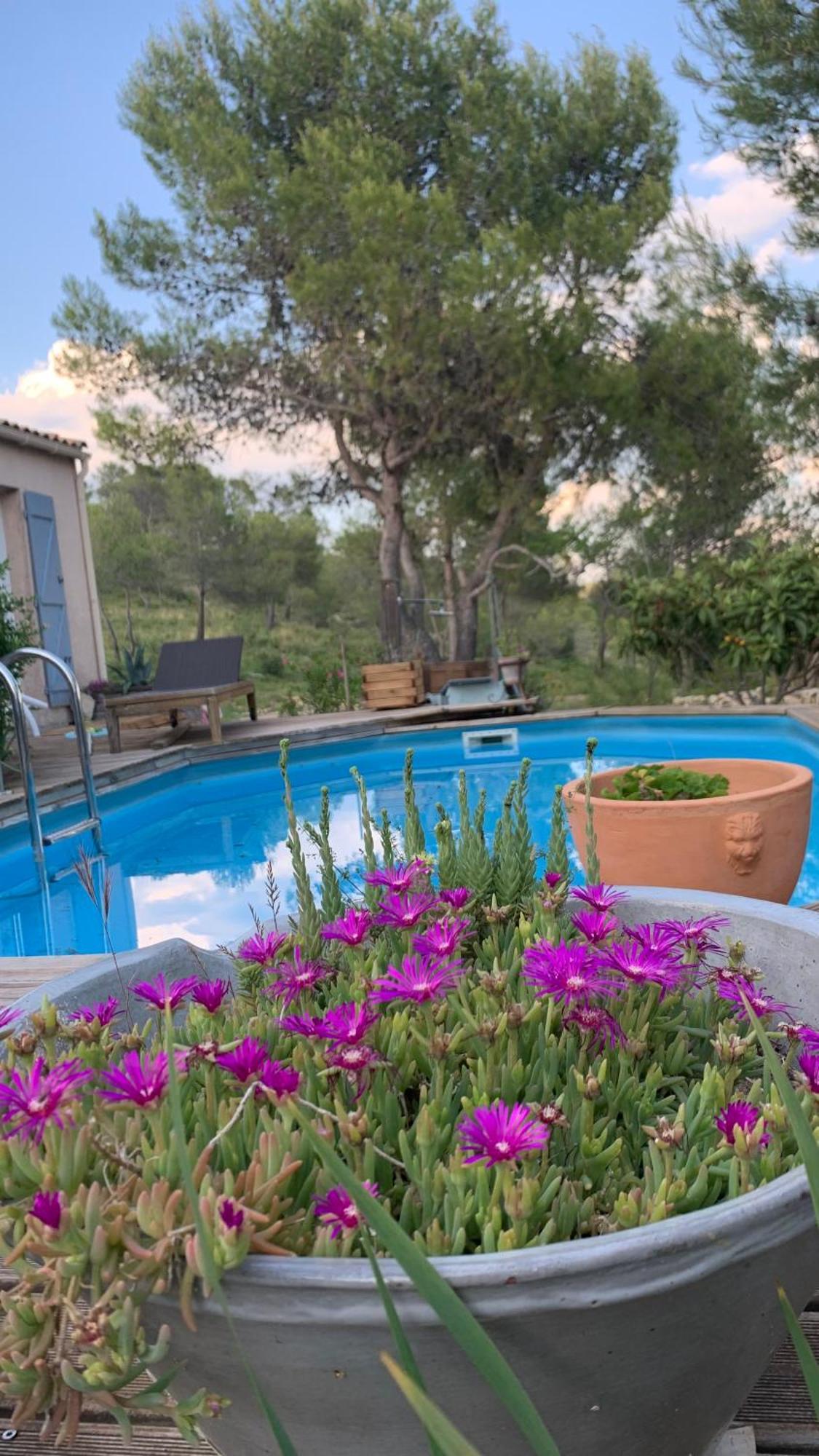Villa En Bordure De Colline*Piscine*Clim*Netflix Les Matelles Ngoại thất bức ảnh